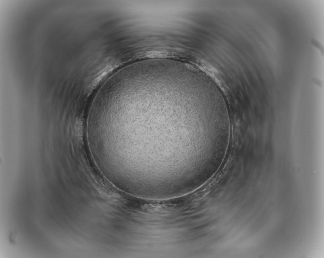 X0000091300297200708171358