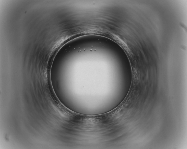 X0000091300298200708171358