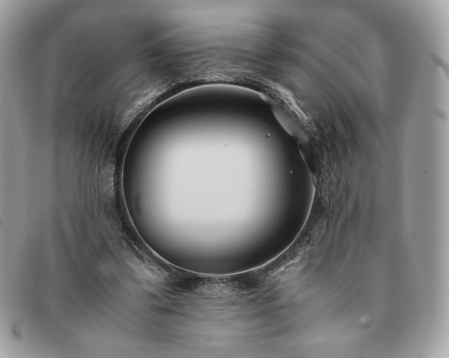 X0000091300299200708171358