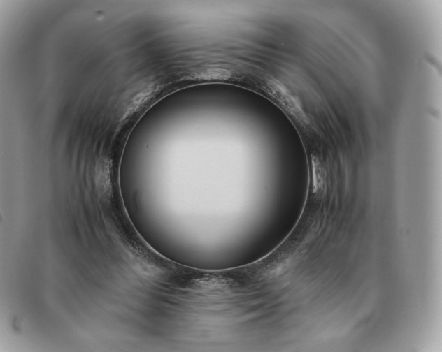 X0000091300300200708171358