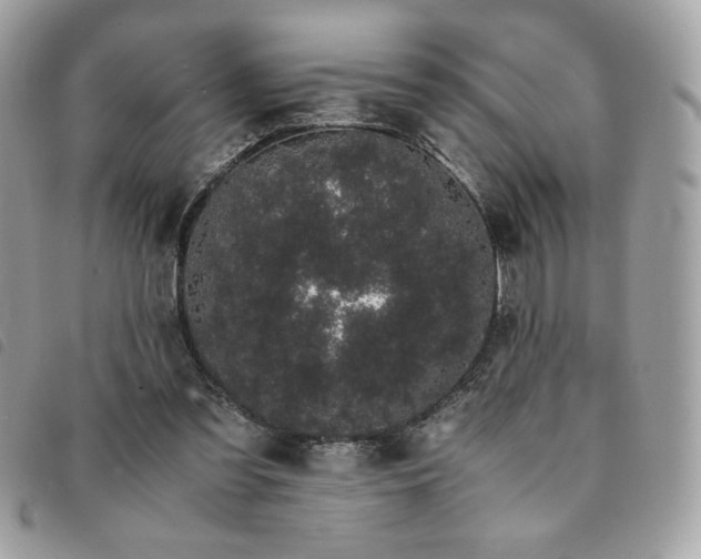 X0000091300301200708171358