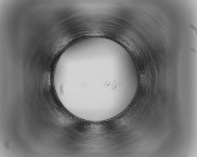 X0000091300302200708171358