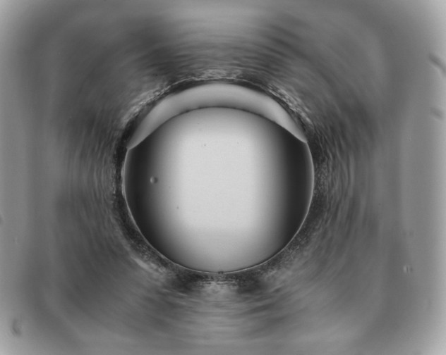 X0000091300303200708171358