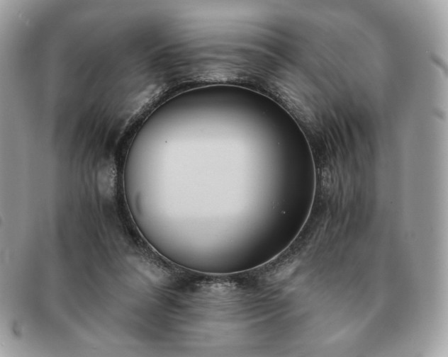 X0000091300304200708171358