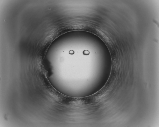 X0000091300307200708171358