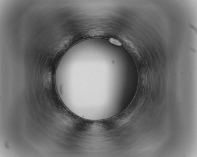 X0000091300308200708171358