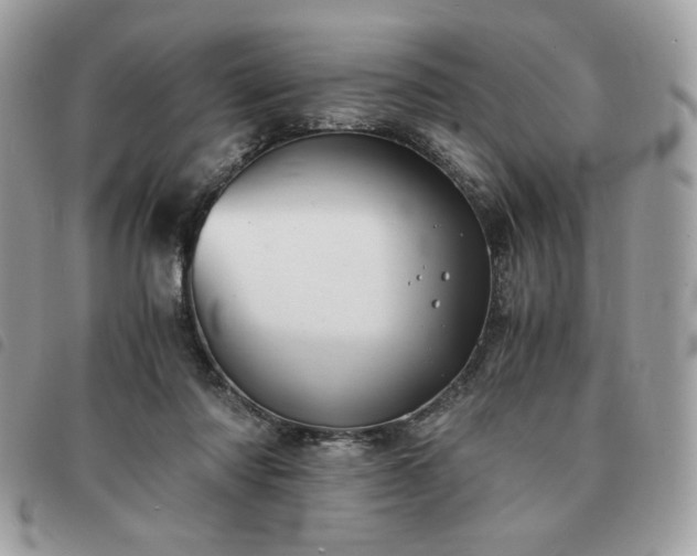 X0000091300310200708171358