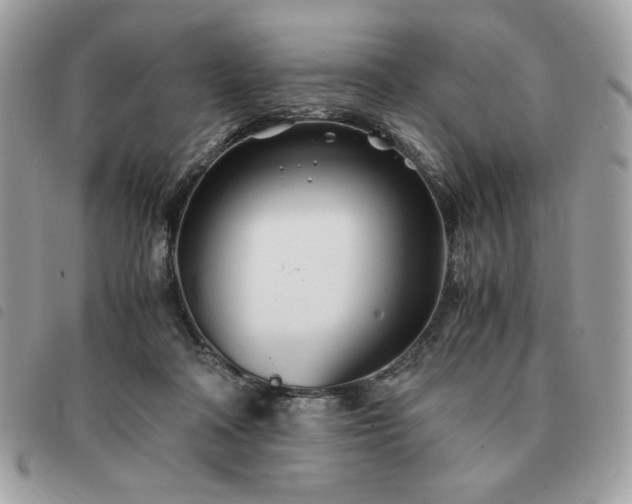 X0000091300314200708171358