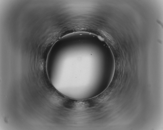 X0000091300315200708171358