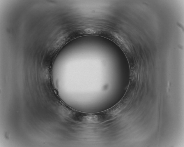 X0000091300317200708171358