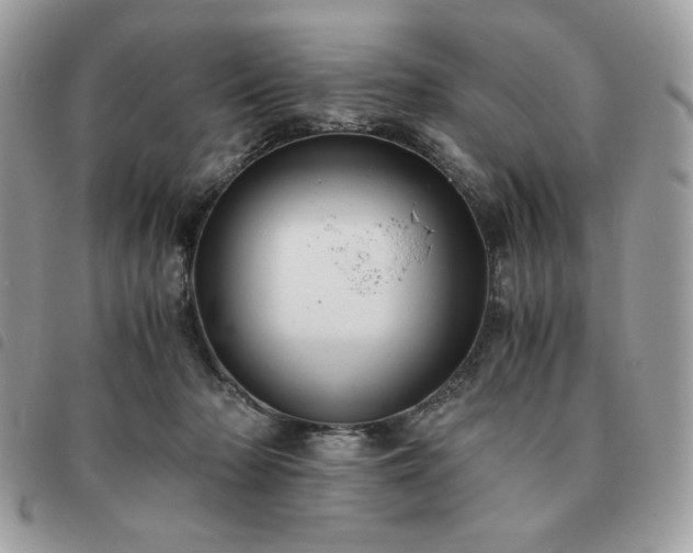 X0000091300318200708171358