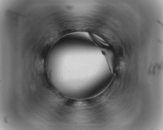 X0000091300319200708171358