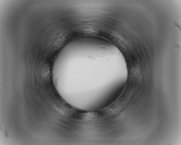 X0000091300320200708171358