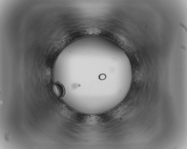 X0000091300321200708171358