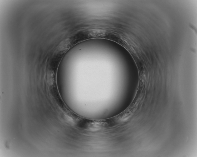 X0000091300323200708171358