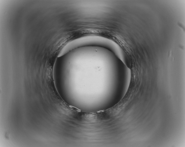 X0000091300325200708171358