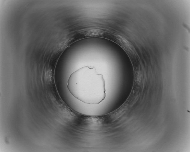 X0000091300326200708171358