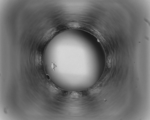 X0000091300330200708171357