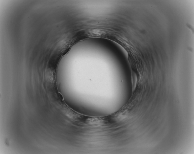 X0000091300331200708171357