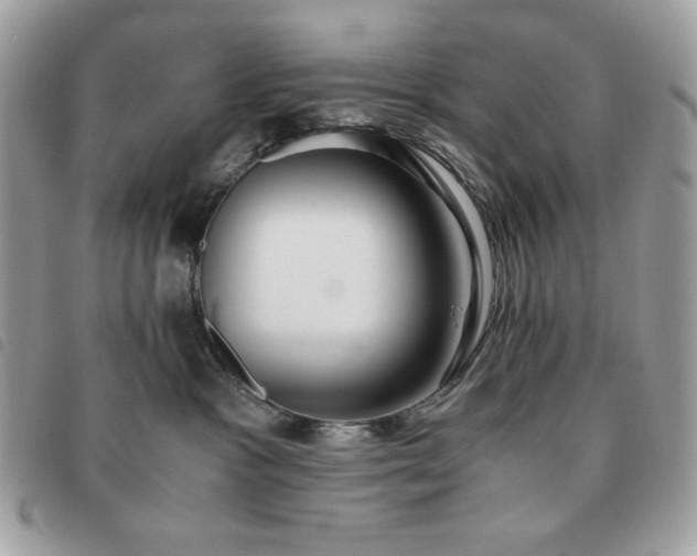 X0000091300333200708171357