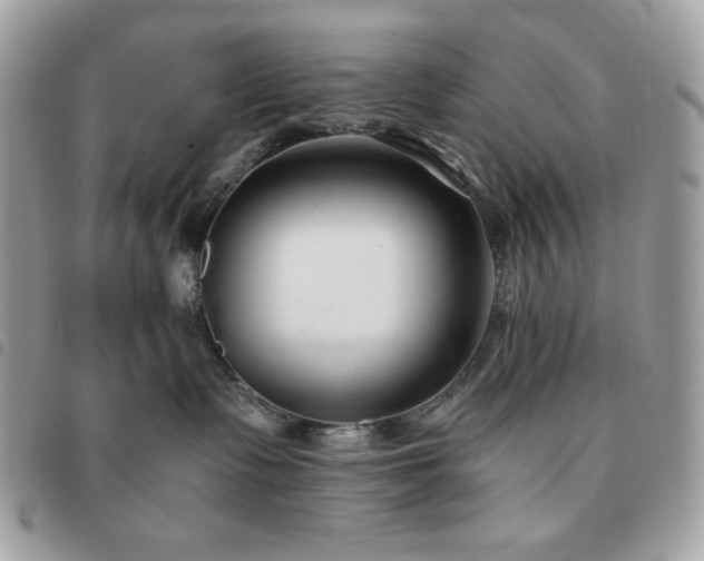 X0000091300335200708171357