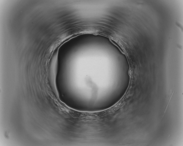 X0000091300337200708171357