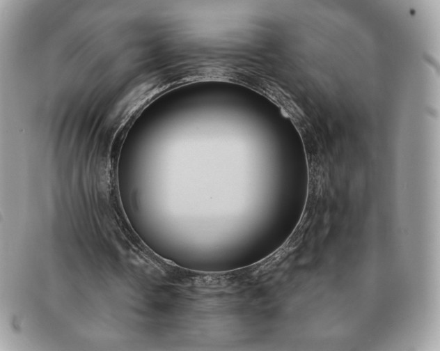 X0000091300338200708171357