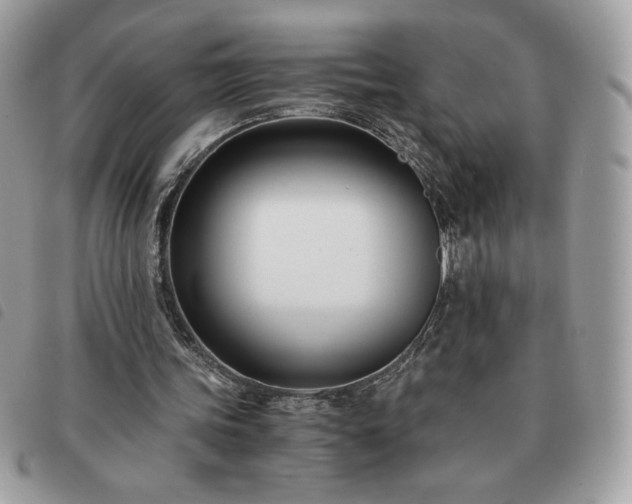 X0000091300339200708171357