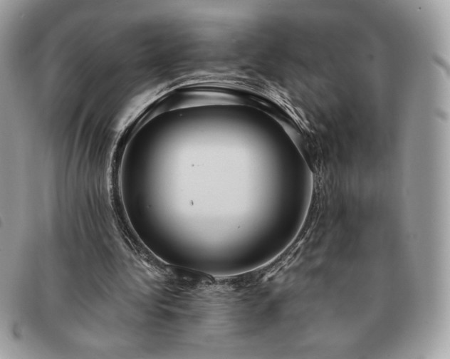 X0000091300340200708171357