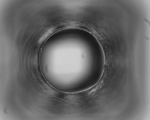 X0000091300341200708171357