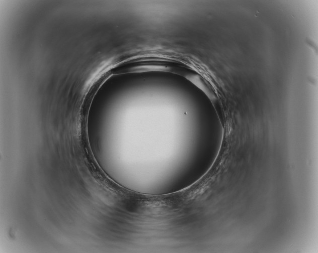 X0000091300344200708171357