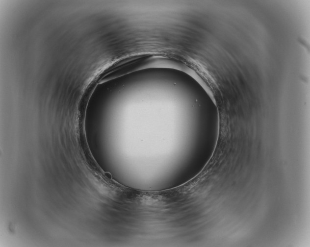 X0000091300346200708171357