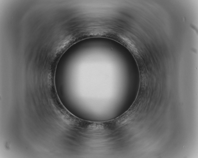 X0000091300354200708171357