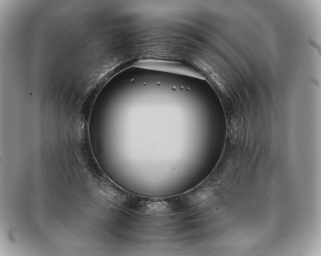 X0000091300355200708171357