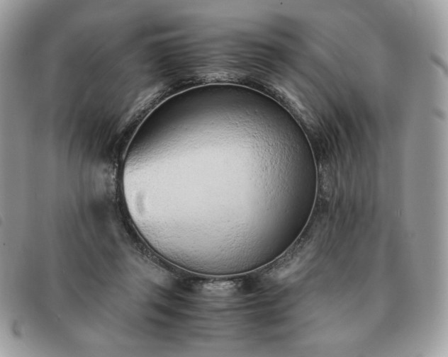 X0000091300357200708171357