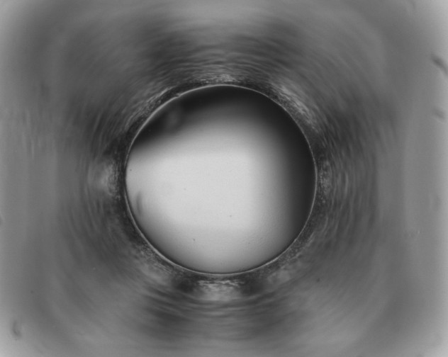 X0000091300359200708171357