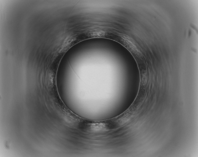 X0000091300363200708171357