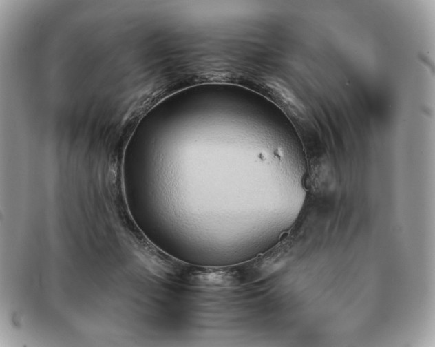 X0000091300365200708171357