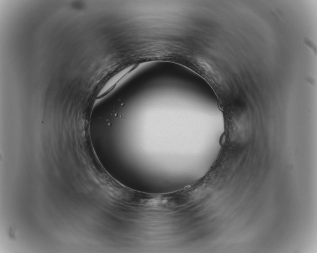 X0000091300366200708171357