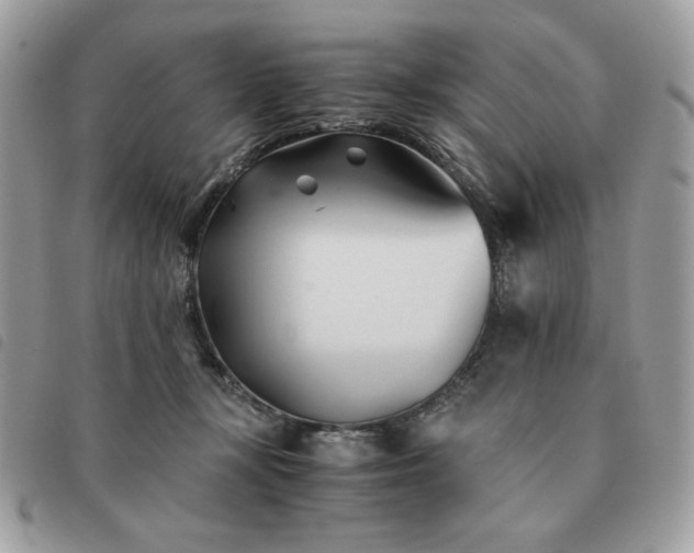 X0000091300367200708171357