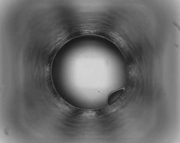 X0000091300369200708171357