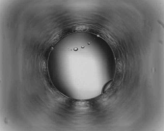 X0000091300375200708171357