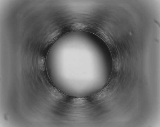 X0000091300378200708171357