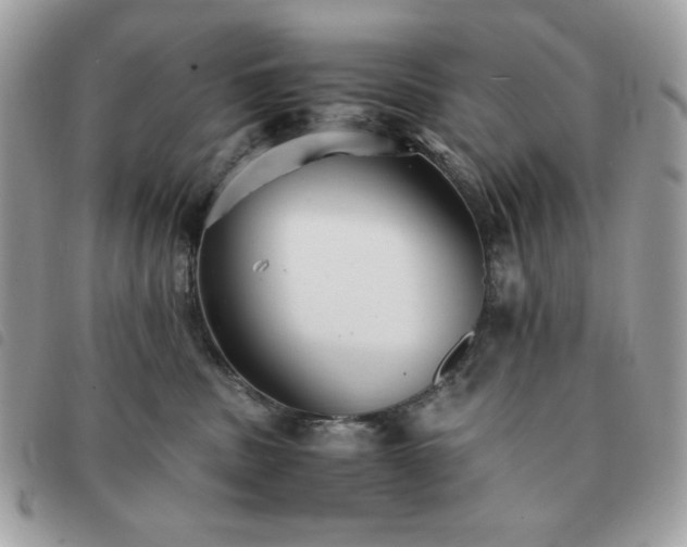 X0000091300379200708171357