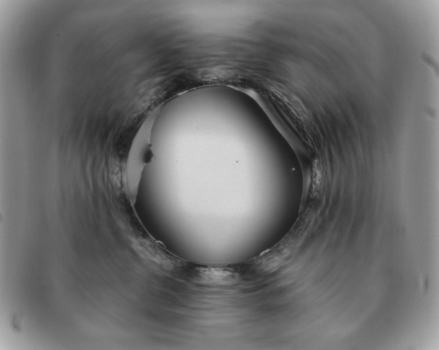 X0000091300380200708171357