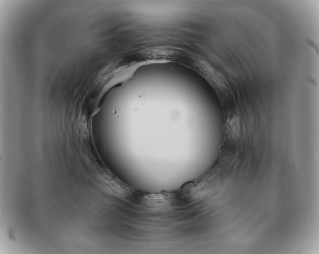 X0000091300381200708171357