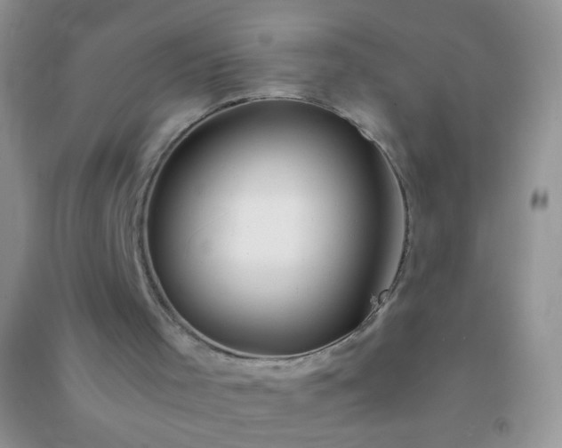 X0000091300001200708172218