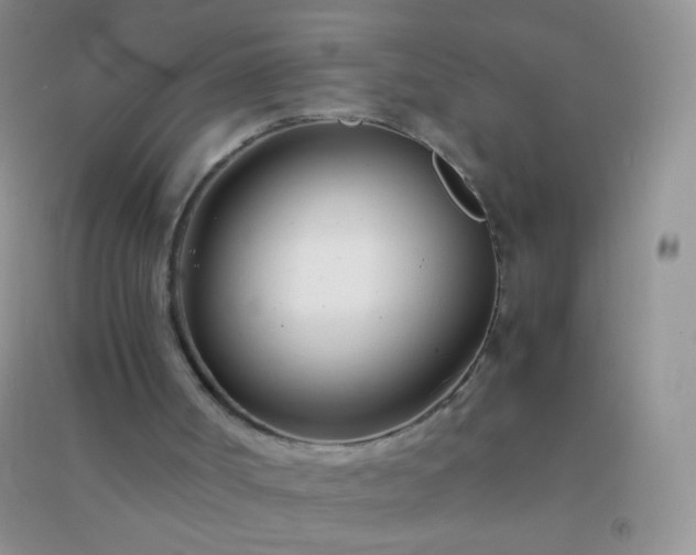 X0000091300002200708172218