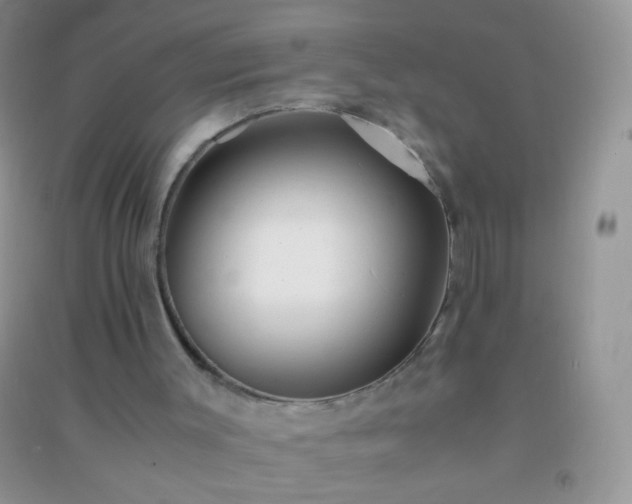 X0000091300003200708172218