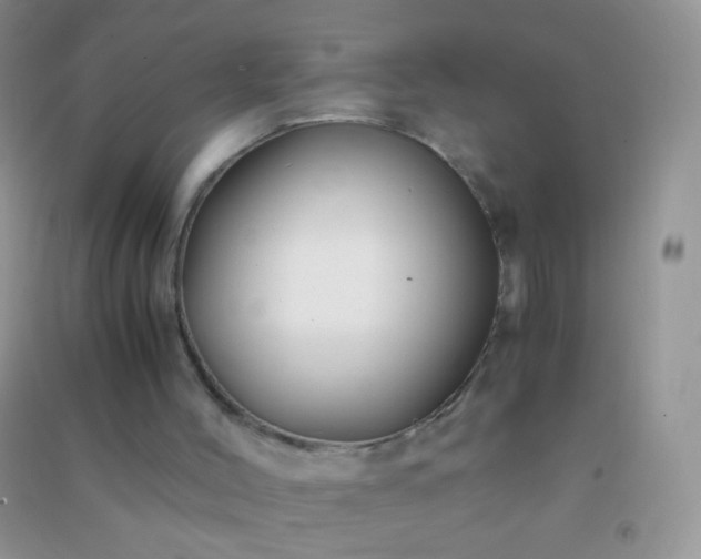 X0000091300004200708172218